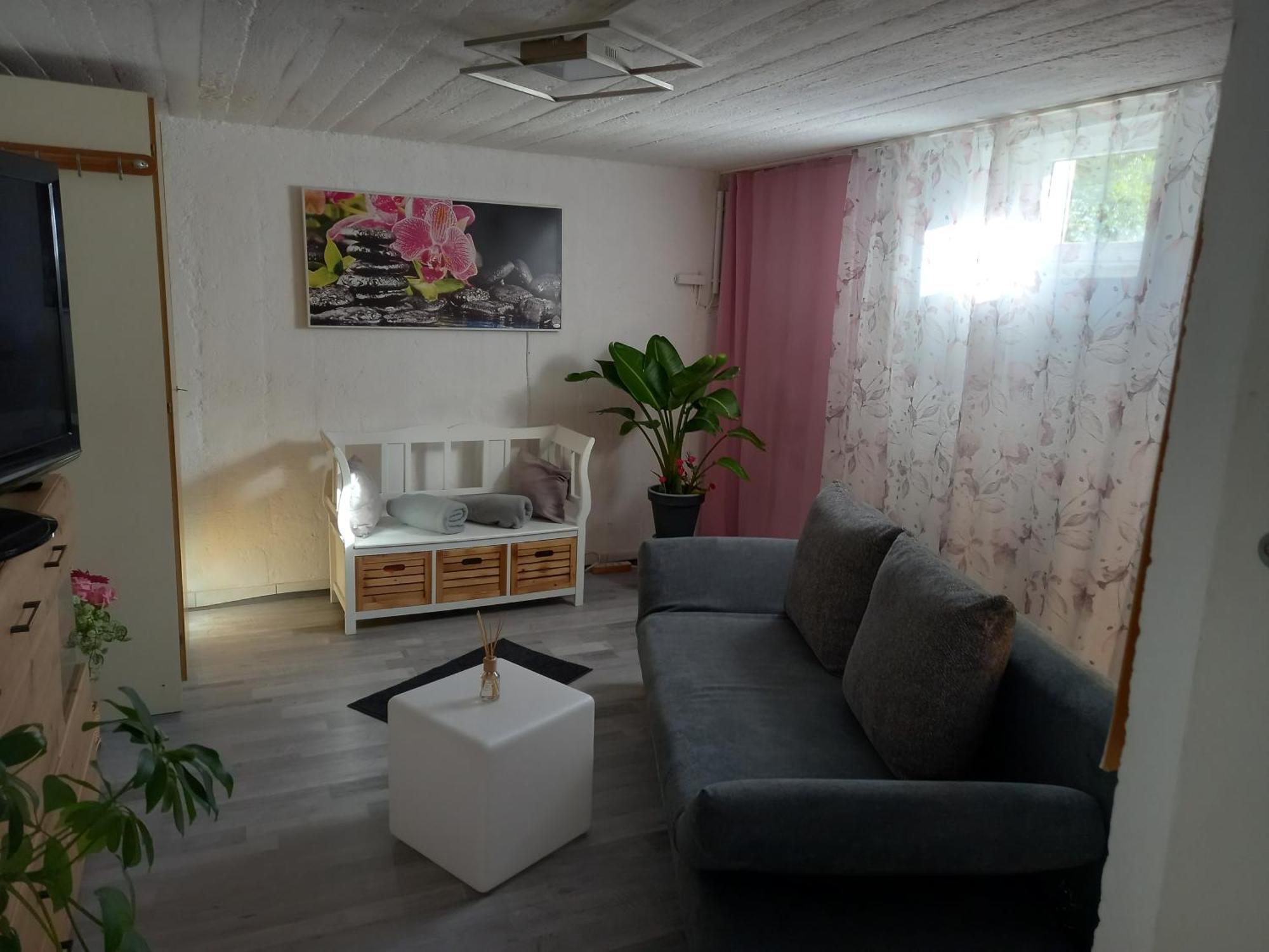 60 M² Ferienapartment Zentrumsnahe Mit Gartenbenutzung Steyr Exterior photo